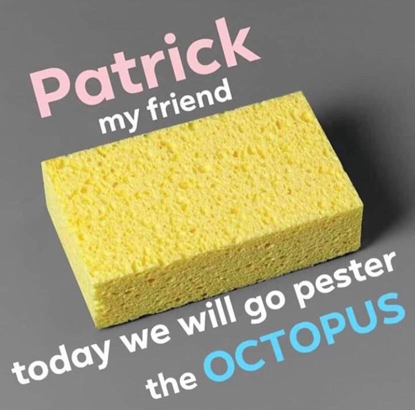 The octopus - meme