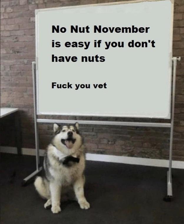 No nut november is easy if you don't have nuts - meme