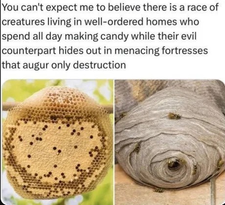 Bees are the best - meme