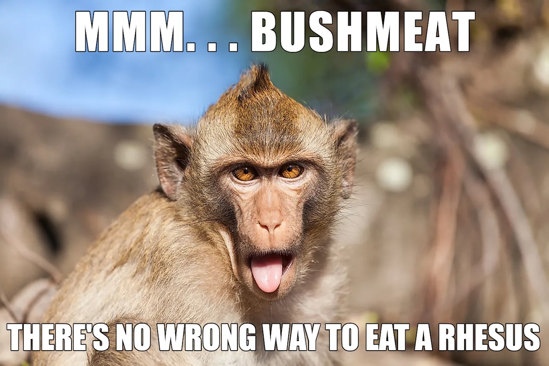 South Carolina's Answer to High Grocery Prices - meme