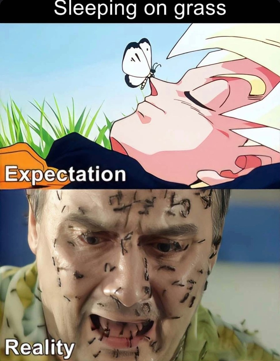 Sleeping on grass - meme
