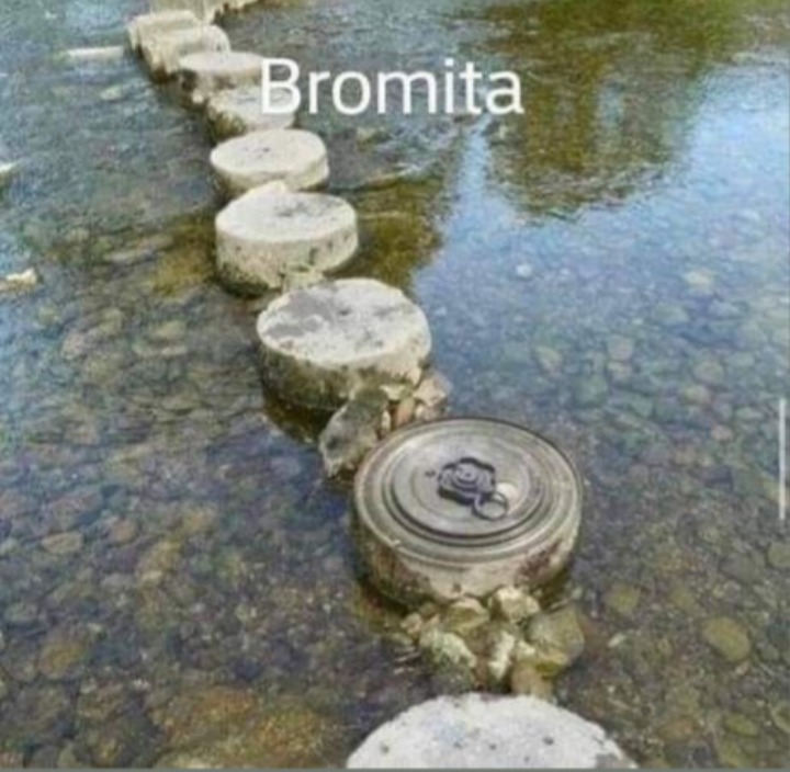 Bromita - meme