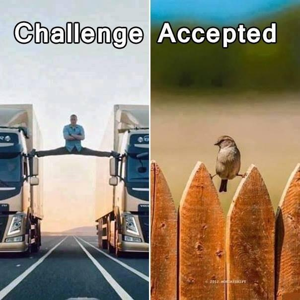 Challenge accepte - meme