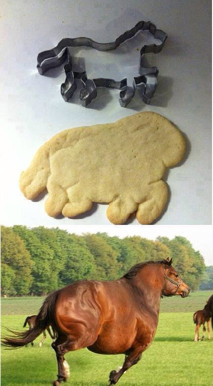Fat horseys - meme
