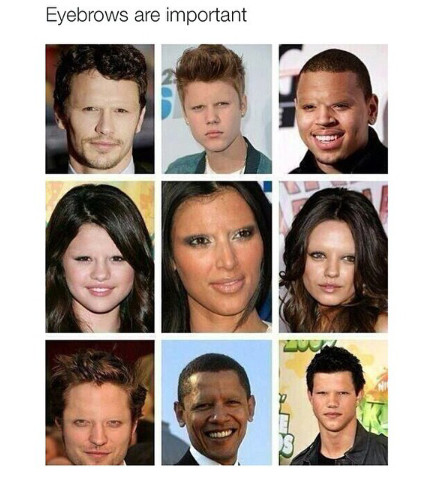 eyebrows - meme