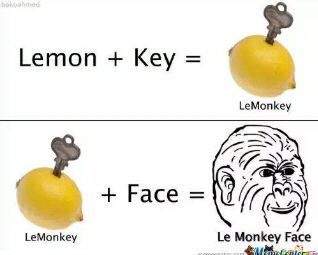 Fórmula do Le Monkey Face - meme