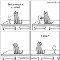 Gato sendo gato