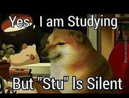 Dying studying - meme