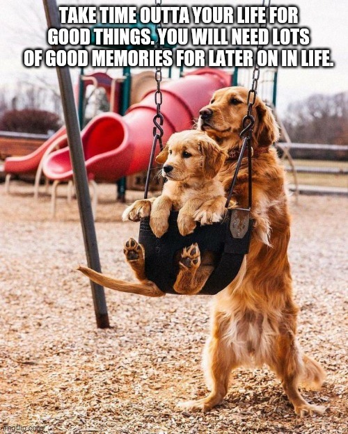 Sometimes this is the only thing that keeps us continuing to go in life. - meme
