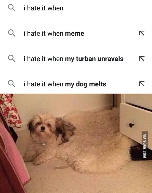 I hate it when my dog melts - meme