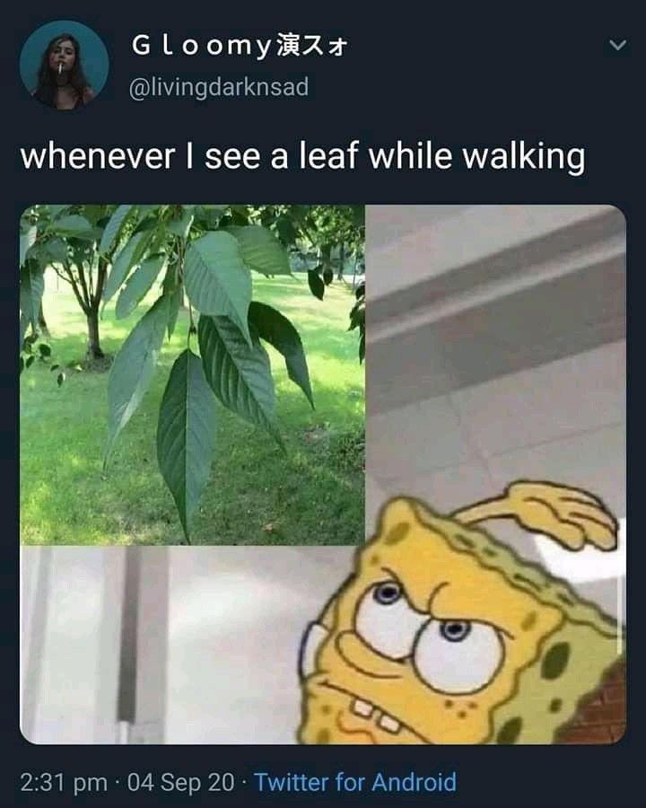 Me when a leaf - meme