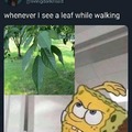 Me when a leaf
