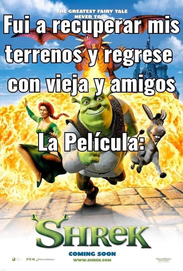 Shrek Resumido Meme Subido Por Wiswi Memedroid