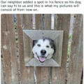 wholesome doggo