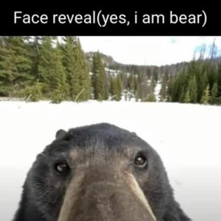 Face reveal - Meme by CumbiNinja :) Memedroid