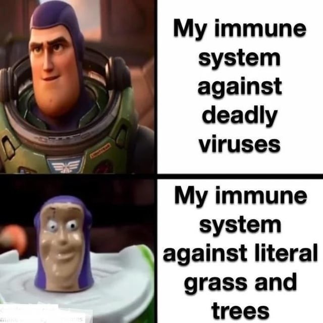 Immune system meme