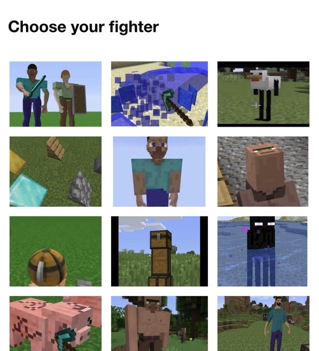 Choose your Minecraft fighter - meme