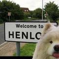 Henlo