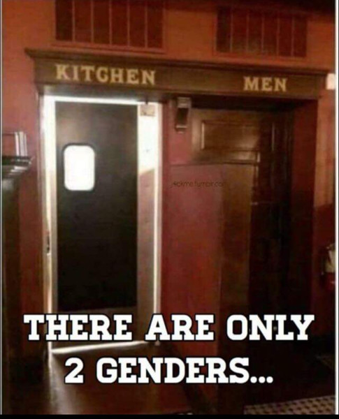 Two genders - meme
