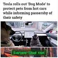 Tesla Rolls out dog mode