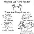Many reasons