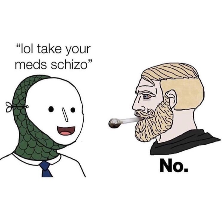 dongs in a schizo - meme