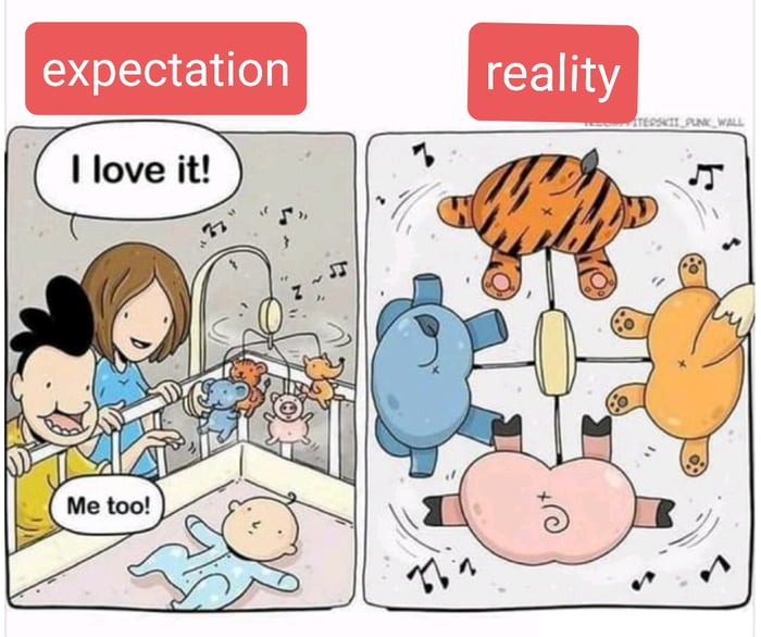 Expectation vs reality - meme