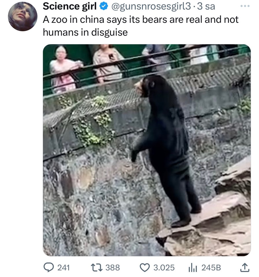 Chinese bear - meme