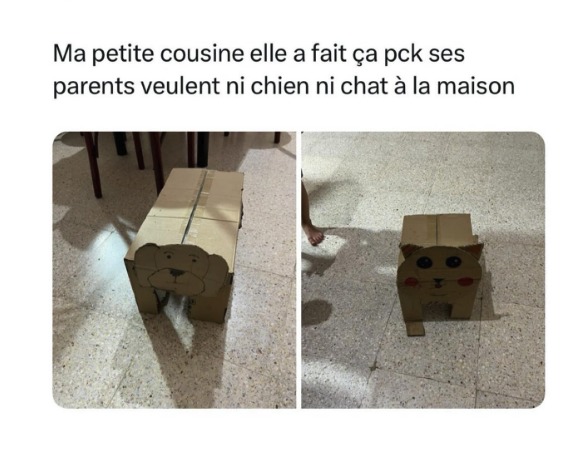 Un petit chienrton et charton c'est mignon - meme