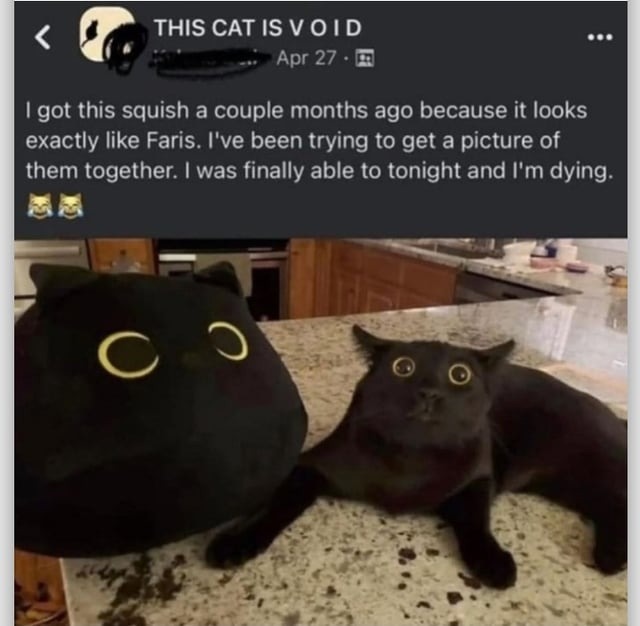 This void cat + squish = serotonin unlocked - meme