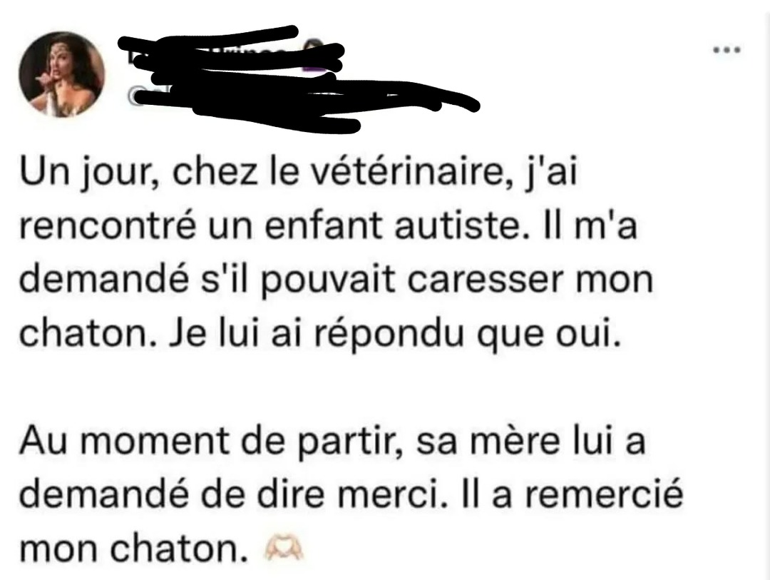 Chez le véto un gamin autiste a caressé mon chaton et il l’a remercié direct, moment trop mignon - meme