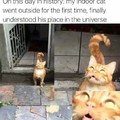 Cat realizes that God was once a woman