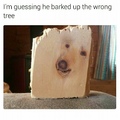 Tree Doggo