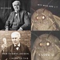 Edison is love for most of moths