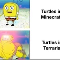 Minecraft and Terraria