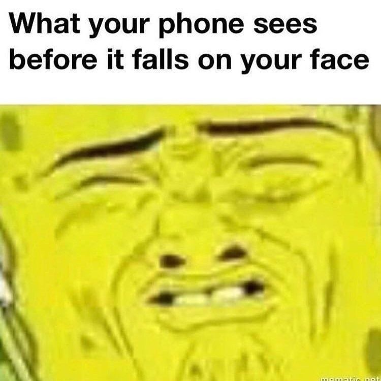 what your phone sees - meme