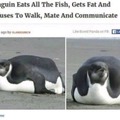 Penguin gigachad just want to chill