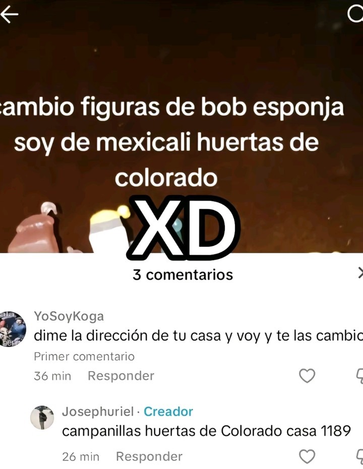XD - meme