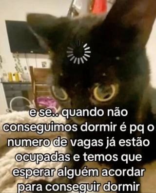 Faz sentido - meme