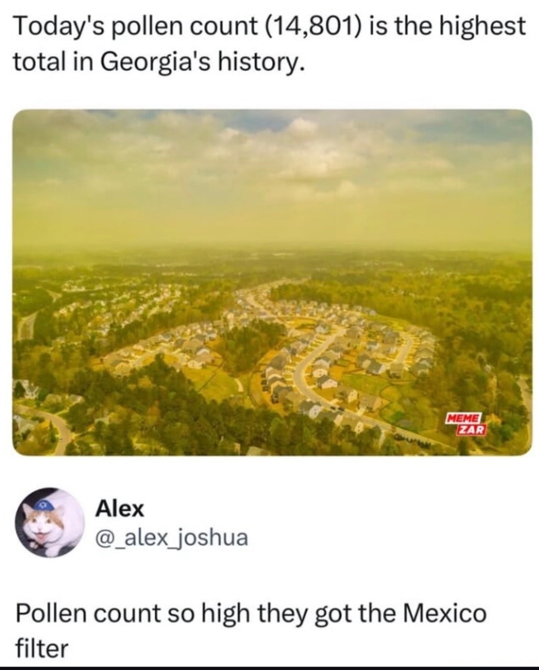 Georgia pollen count so high it unlocked Mexico filter - meme