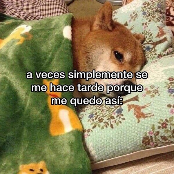 A veces llego tarde por quedarme así mirando la nada - meme