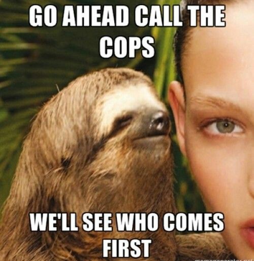 Return of the sloths - meme