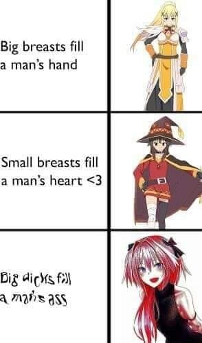 Breast in general are awesome - meme
