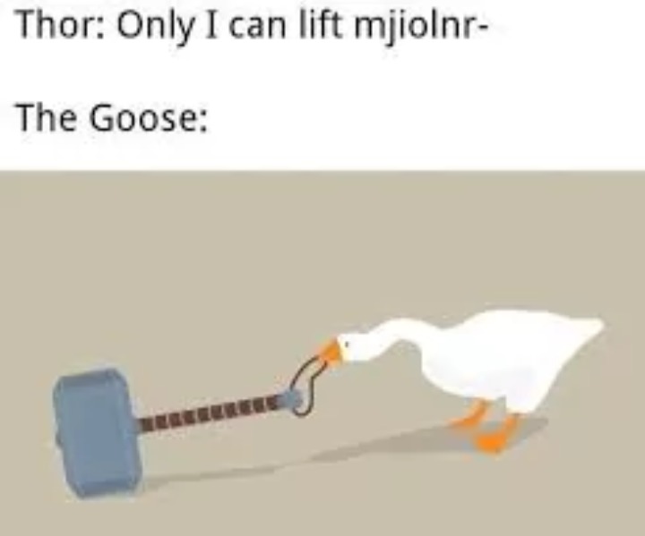Goose of thunder - meme