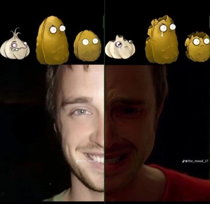 :,V - meme