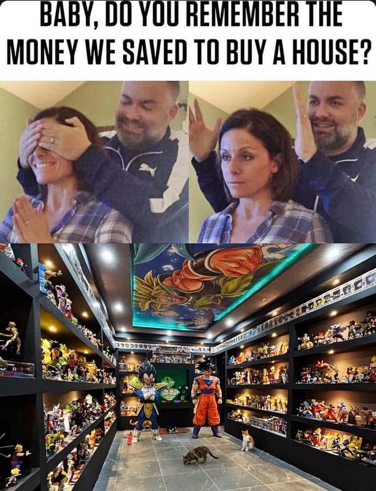 Baby do you remember the house fund? I bought NFTs - meme