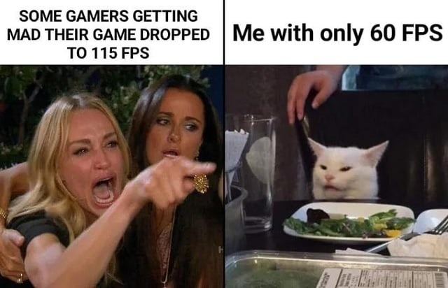 When 60 to 115 FPS somehow counts as a problem - meme