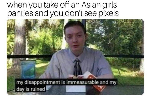 Asian girls don't actually have pixels under their panties - meme