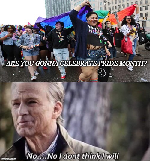 Are you gonna celebrate pride day? - meme