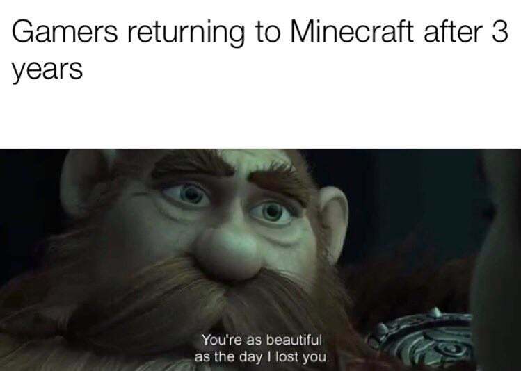 Quand les gamers retourne sur Minecraft 3 ans après "tu es aussi belle que lorceque je t'ai perdu" - meme
